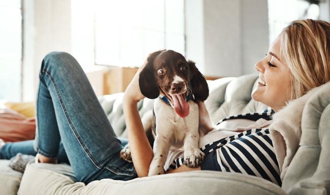 We welcome all your furry friends woman lies on a couch and pets her dog